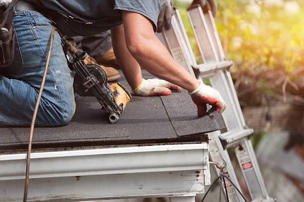 Best Shingle Roofing Installation  in St Petersburg, FL