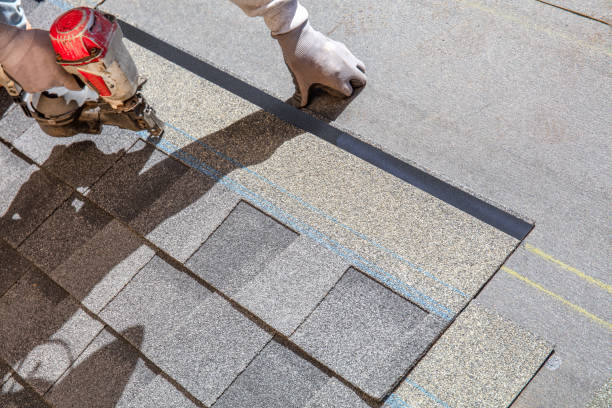 Best Roof Installation Near Me  in St Petersburg, FL