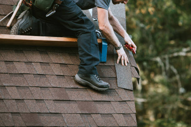 Quick and Trustworthy Emergency Roof Repair Services in St Petersburg, FL